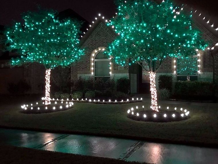 Trees wrapped in green lights with lit rings around the trunks