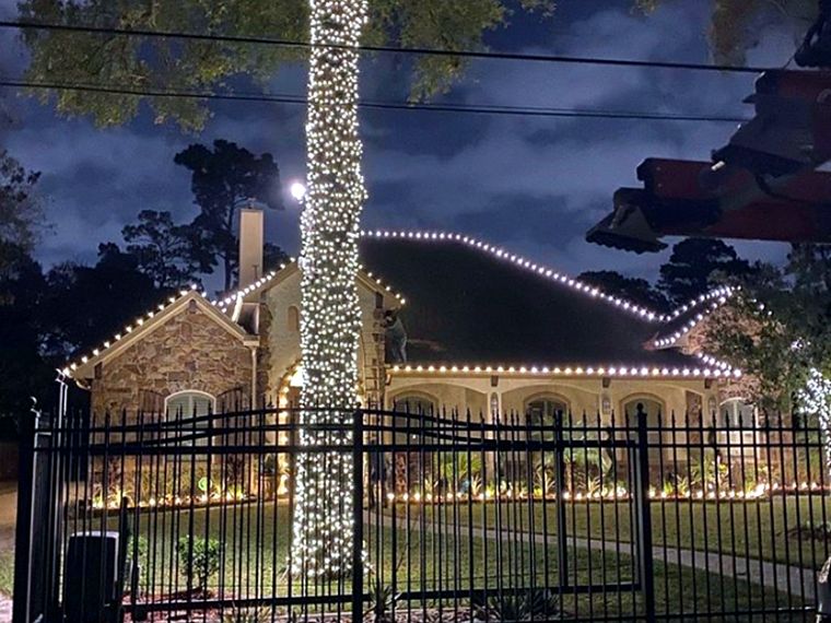 Tall tree wrapped in lights in front of a lit home